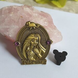Disney Princess Rapunzel Amethyst February Month Birthstone  Pin Nib